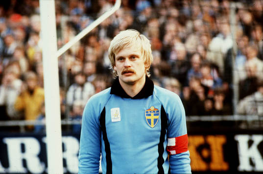 Ronnie Hellström, Sverige