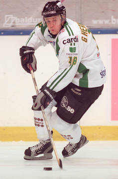 Göran Hermansson, Björklöven