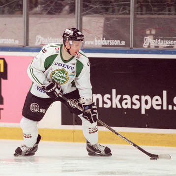 Alexander Beliavski, Björklöven