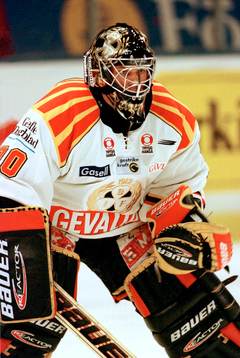 Mattias Pettersson, Brynäs