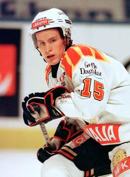 Johan Molin, Brynäs