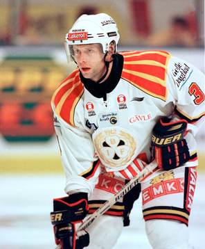 Daniel Johansson, Brynäs