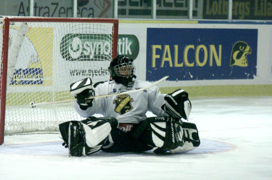 Fredrik Josefsson, Målvakt AIK
