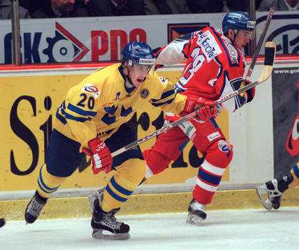 Henrik Zetterberg, Sverige