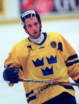 Mikael Johansson, Sverige