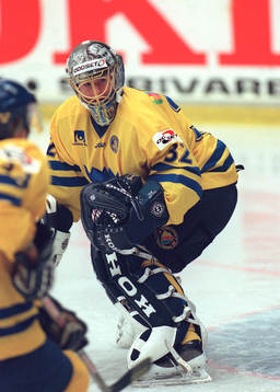 Mikael Tellqvist, Sverige