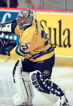 Mikael Tellqvist, Sverige