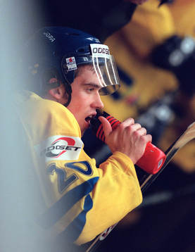 Henrik Zetterberg, Sverige