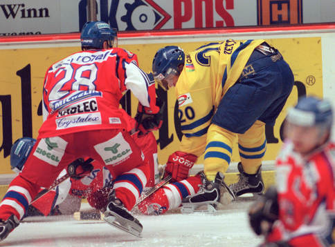 Henrik Zetterberg, Sverige