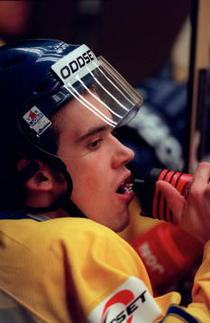 Henrik Zetterberg, Sverige