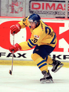 Henrik Zetterberg, Sverige