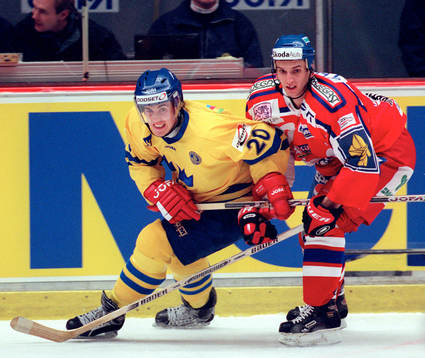 Henrik Zetterberg, Sverige