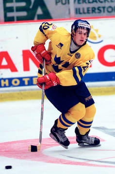 Henrik Zetterberg, Sverige