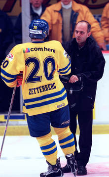 Henrik Zetterberg, Sverige