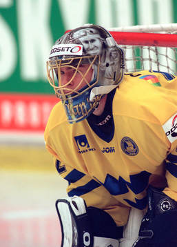 Mikael Tellqvist, Sverige