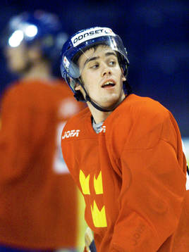 Henrik Zetterberg, Sverige
