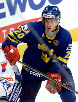Henrik Zetterberg, Sverige
