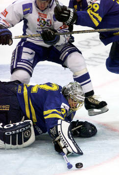Mikael Tellqvist, Sverige