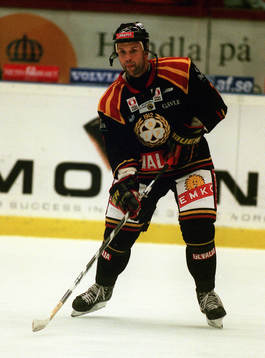 Tommy Sjödin, Brynäs