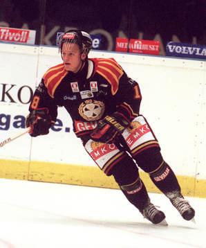 Tony Mårtensson, Brynäs