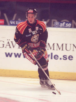Herman Hultgren, Brynäs