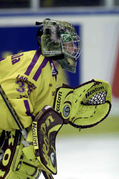 Magnus Eriksson, Färjestad