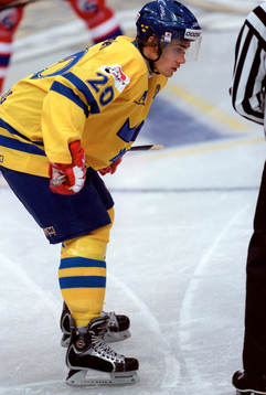 Henrik Zetterberg, Sverige
