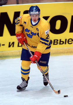 Henrik Zetterberg, Sverige