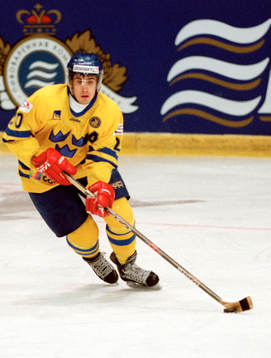 Henrik Zetterberg, Sverige