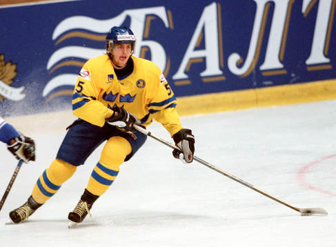 Henrik Tallinder, Sverige