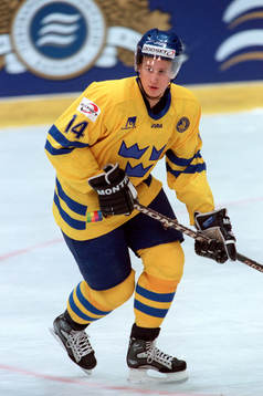 Johan Hedström, Sverige