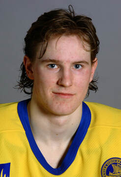 Niklas Kronwall of team Sweden poses for a portrait in