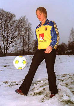Nilla Fischer, Sverige