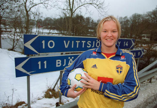 Nilla Fischer, Sverige