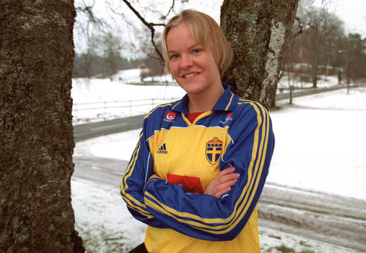 Nilla Fischer, Sverige