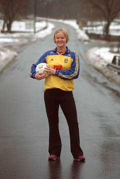 Nilla Fischer, Sverige