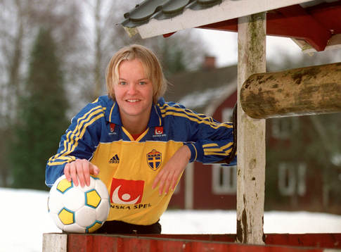 Nilla Fischer, Sverige