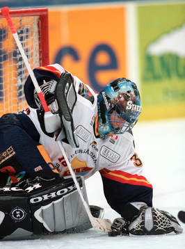 Mikael Tellqvist, Djurgården