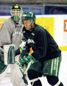 Mikael Badelt, Hammarby Hockey
