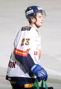 Jimmie Ölvestad, Djurgården