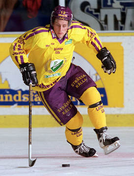 Bläddra bland fler bilder av Ishockey, Elitserien, Malmö - Färjestad