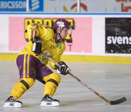 Radek Hamr, Färjestad
