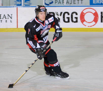 David Petrasek, Malmö
