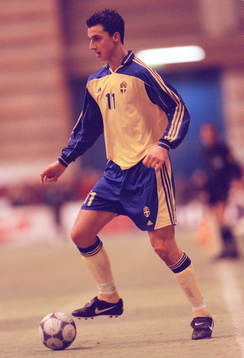 Zlatan Ibrahimovic, Sverige