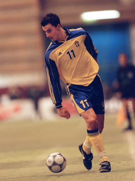 Zlatan Ibrahimovic, Sverige