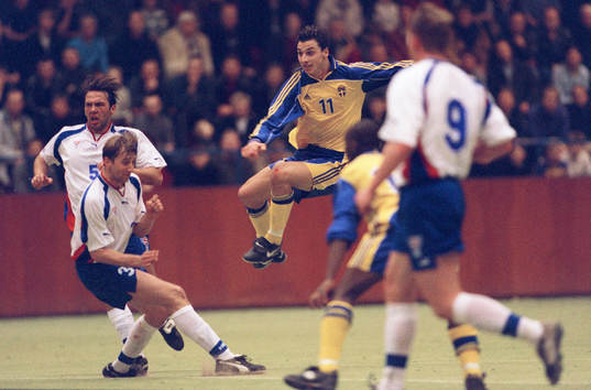 Zlatan Ibrahimovic, Sverige