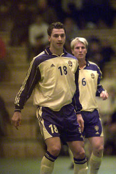 Zlatan Ibrahimovic, Sverige