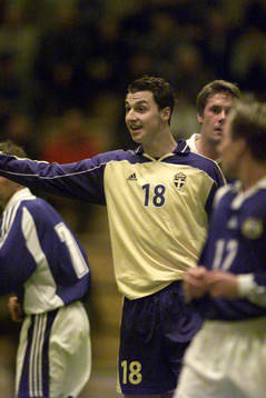 Zlatan Ibrahimovic, Sverige
