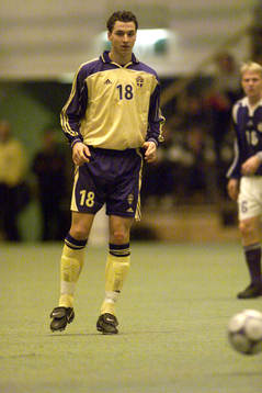 Zlatan Ibrahimovic, Sverige