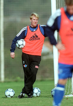 Petter Hansson, Halmstad